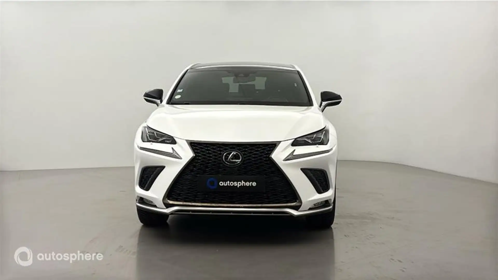 Lexus NX 300h 300h 4WD F SPORT - 2