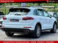 Porsche Cayenne II (2) 4.2 TDI V8 385CV TIPTRONIC Alb - thumbnail 5