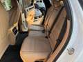 Porsche Cayenne Coupe 3.0 e-hybrid /tetto pasm/scarico/22"/pasm/ Bianco - thumbnail 9