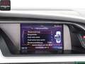 Audi A5 A5 Cabrio 2.0 TDI S LINE 18Z,NAVI,XENON,METALLIC Nero - thumbnail 22