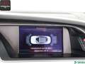 Audi A5 A5 Cabrio 2.0 TDI S LINE 18Z,NAVI,XENON,METALLIC Nero - thumbnail 21