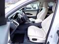 Jaguar E-Pace 2.0d i4 R-Dynamic SE awd 180cv auto my19 Bianco - thumbnail 6