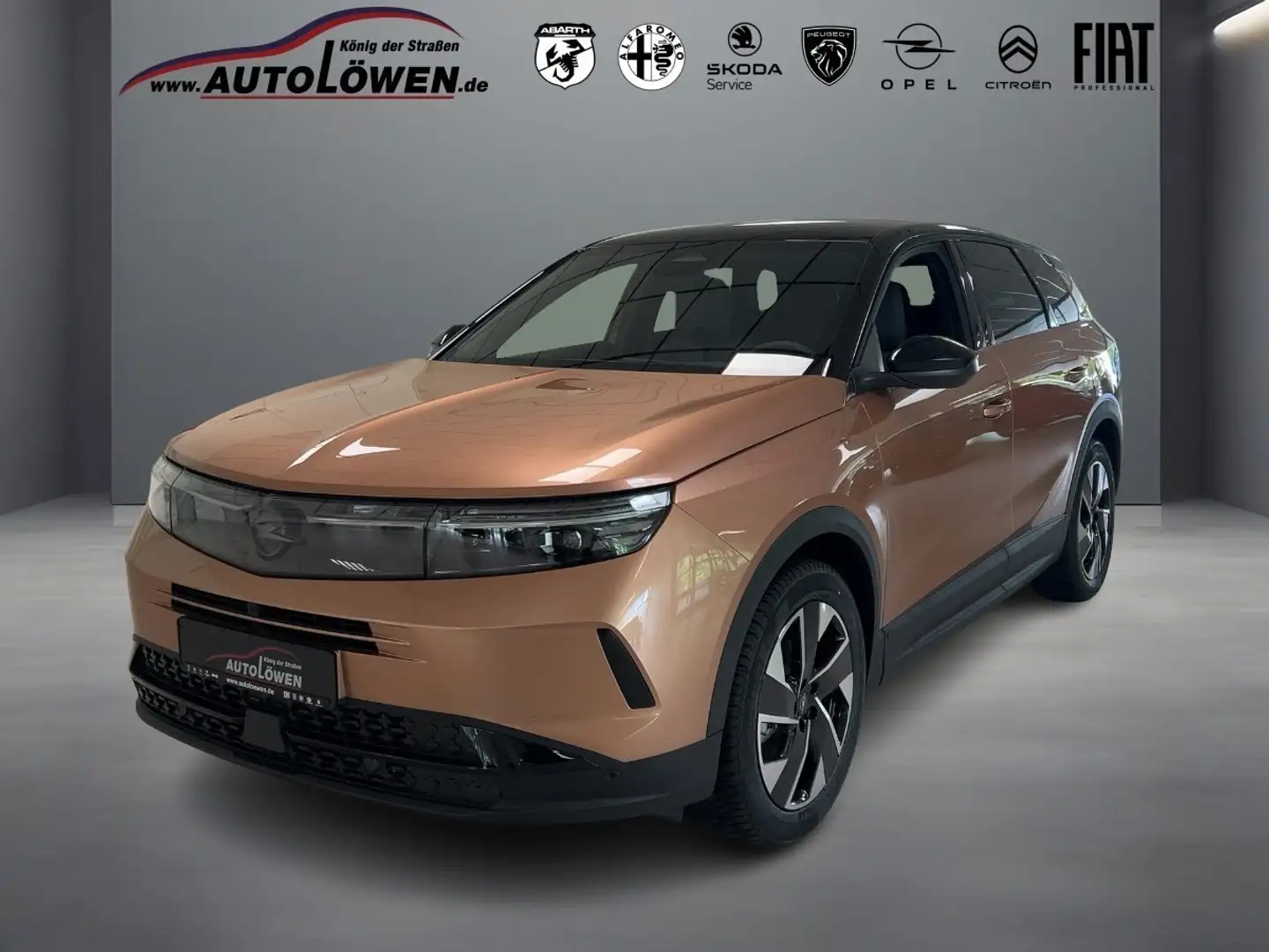 Opel Grandland X 1.2 Mild-Hybrid GS Maro - 1