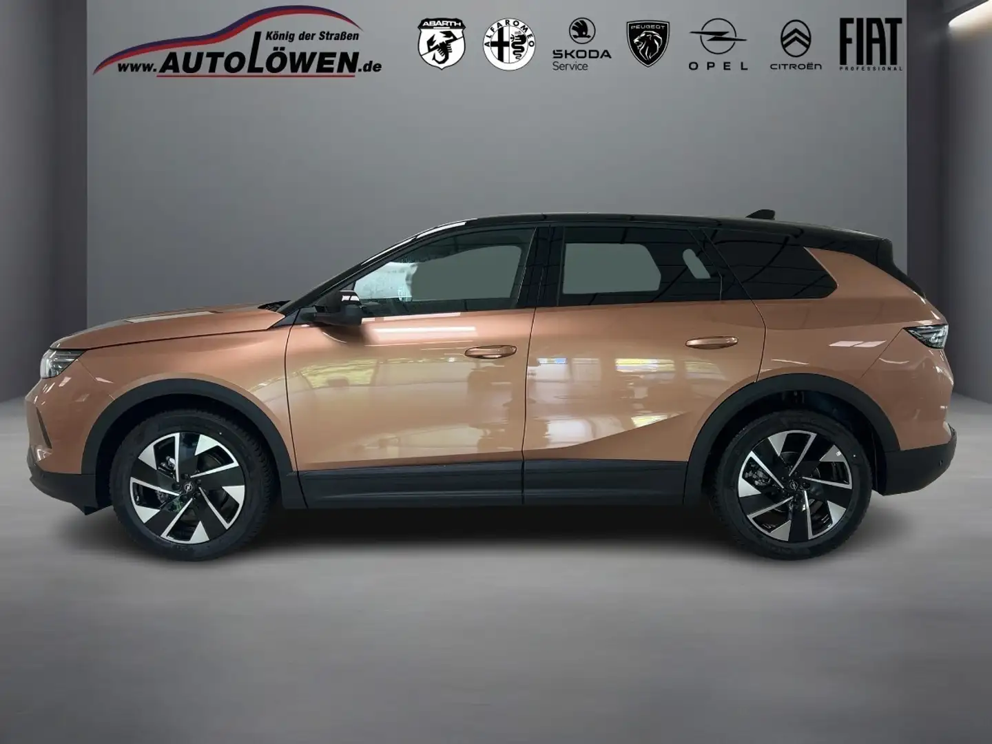 Opel Grandland X 1.2 Mild-Hybrid GS Braun - 2