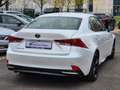 Lexus IS 300 Premium *LED *Navi *Kamera *Keyless *PDC Blanco - thumbnail 6
