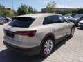 Audi e-tron 55 quattro Business *TOPAUSSTATTUNG* Beige - thumbnail 4