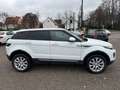 Land Rover Range Rover Evoque Pure Wit - thumbnail 4