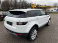 Land Rover Range Rover Evoque Pure Wit - thumbnail 5