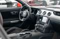 Ford Mustang MATCH 1 Rojo - thumbnail 11