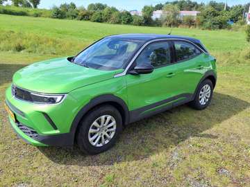 Mokka (2020->) Edition