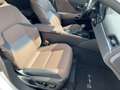 Lexus ES 300 h Luxury Line HUD*Navi*4xSHZ*Schiebedach Alb - thumbnail 11