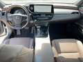 Lexus ES 300 h Luxury Line HUD*Navi*4xSHZ*Schiebedach Alb - thumbnail 14