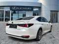 Lexus ES 300 h Luxury Line HUD*Navi*4xSHZ*Schiebedach Alb - thumbnail 7