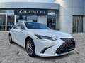Lexus ES 300 h Luxury Line HUD*Navi*4xSHZ*Schiebedach Alb - thumbnail 8