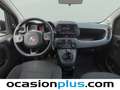 Fiat Panda 1.0 Gse Cross Hybrid Verde - thumbnail 6