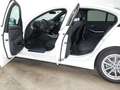 BMW 318 318i M Shadow HeadUp DrivingAsist LED Keyless Weiß - thumbnail 7
