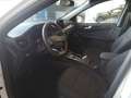 Ford Kuga 2,0 EcoBlue Hybrid ST-Line Aut. Weiß - thumbnail 5