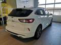 Ford Kuga 2,0 EcoBlue Hybrid ST-Line Aut. Weiß - thumbnail 3