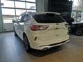 Ford Kuga 2,0 EcoBlue Hybrid ST-Line Aut. Wit - thumbnail 4