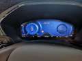 Ford Kuga 2,0 EcoBlue Hybrid ST-Line Aut. Weiß - thumbnail 8