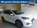 Ford Kuga 2,0 EcoBlue Hybrid ST-Line Aut. Wit - thumbnail 1