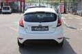 Ford Fiesta 1.4 TDCI 68CV 5 PORTE TITANIUM DISTRIBUZIONE FATTA Bianco - thumbnail 5