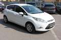 Ford Fiesta 1.4 TDCI 68CV 5 PORTE TITANIUM DISTRIBUZIONE FATTA Bianco - thumbnail 3