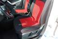 Ford Fiesta 1.4 TDCI 68CV 5 PORTE TITANIUM DISTRIBUZIONE FATTA Bianco - thumbnail 13