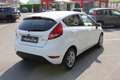 Ford Fiesta 1.4 TDCI 68CV 5 PORTE TITANIUM DISTRIBUZIONE FATTA Bianco - thumbnail 4