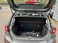 Ford Fiesta Titanium adaptive LED Winter-Paket Grey - thumbnail 12