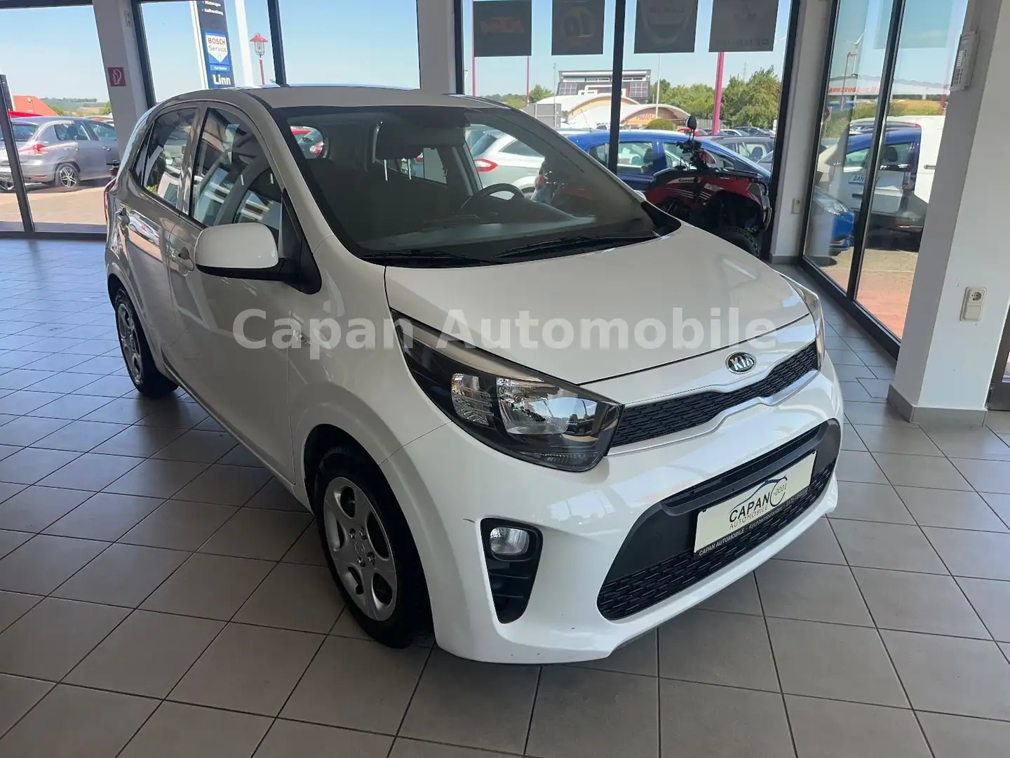 Kia Picanto Edition 7 Klima/SHZ/Beheiz.Lenkrad/EURO6 Weiß - 1