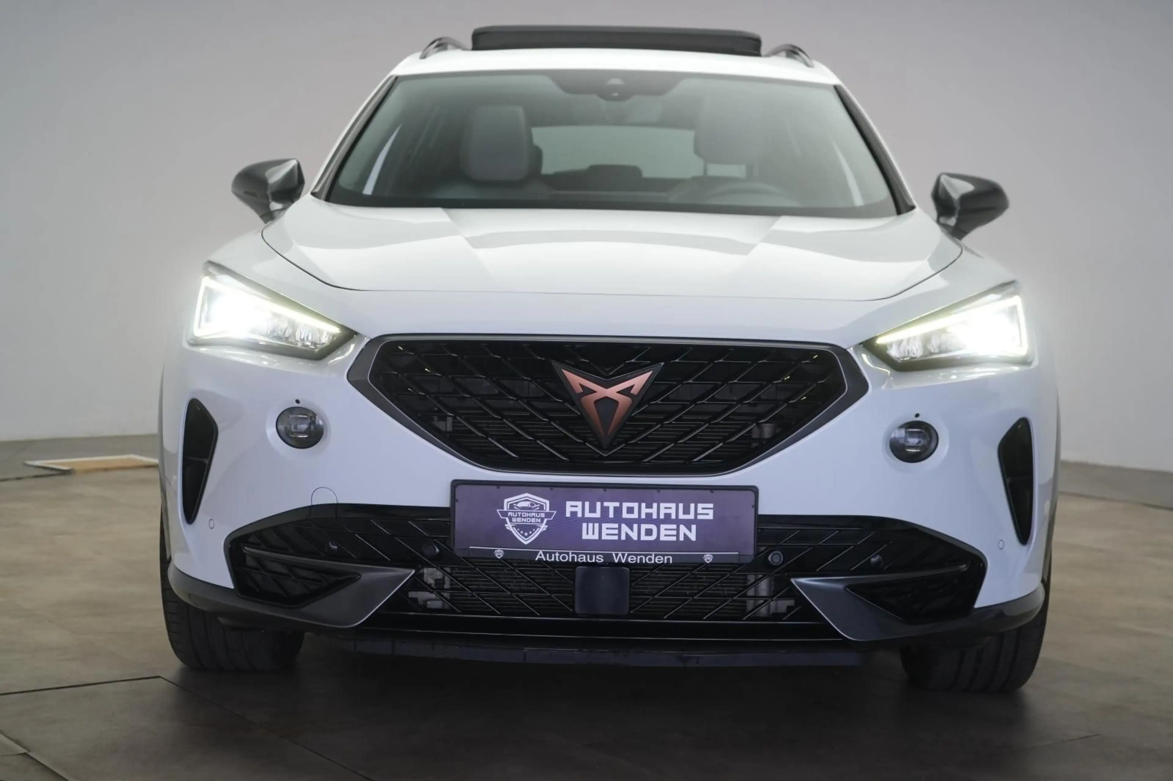 CUPRA Formentor 2.0 TDI 4Drive DSG AHK/Pano/ACC/Virtua — photo 4
