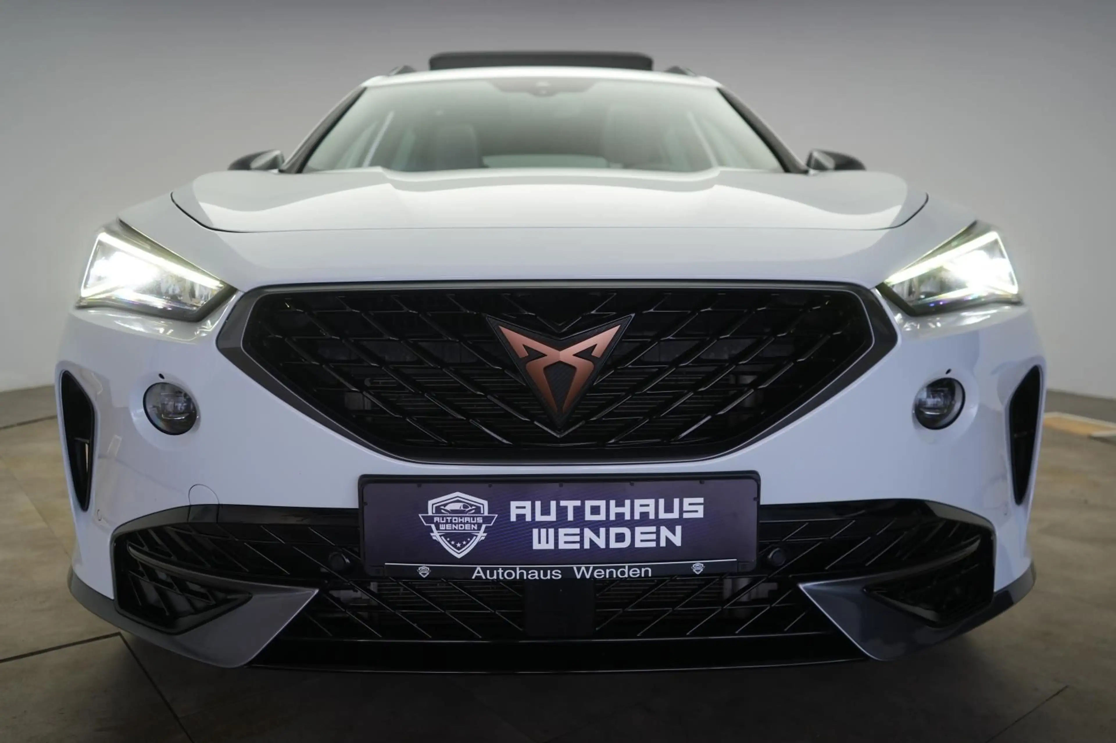 CUPRA Formentor 2.0 TDI 4Drive DSG AHK/Pano/ACC/Virtua — photo 2