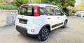Fiat Panda 1.0 firefly hybrid City Life s&s 70cv - thumbnail 5