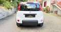 Fiat Panda 1.0 firefly hybrid City Life s&s 70cv - thumbnail 6