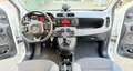 Fiat Panda 1.0 firefly hybrid City Life s&s 70cv - thumbnail 15