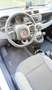 Fiat Panda 1.0 firefly hybrid City Life s&s 70cv - thumbnail 12