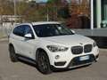 BMW X1 X1 xdrive20d xLine auto Blanco - thumbnail 2