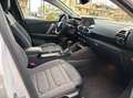 Citroen C4 1.2 puretech Shine s&s 130cv Bianco - thumbnail 12