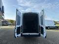 Ford Transit Kasten 350 MHEV  L4 Trend Navi Blanco - thumbnail 6