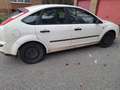 Ford Focus 1.6 TDCi Ambiente Wit - thumbnail 2