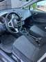 SEAT Ibiza - thumbnail 6