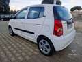 Kia Picanto Picanto 1.0 12V Life Bi-Fuel Blanc - thumbnail 4
