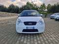 Kia Picanto Picanto 1.0 12V Life Bi-Fuel Blanc - thumbnail 1