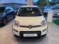 Fiat Panda 1.0 firefly hybrid s&s 70cv Wit - thumbnail 2