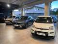 Fiat Panda 1.0 firefly hybrid s&s 70cv Blanco - thumbnail 14