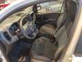 Fiat Panda 1.0 firefly hybrid s&s 70cv KM0 5 Posti Bianco - thumbnail 9