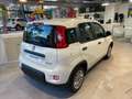 Fiat Panda 1.0 firefly hybrid s&s 70cv Blanc - thumbnail 4