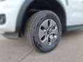 Ford Ranger Doppelkabine XLT e-4WD 2.3 EcoBoost PHEV... Weiß - thumbnail 7