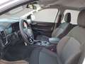 Ford Ranger Doppelkabine XLT e-4WD 2.3 EcoBoost PHEV... Weiß - thumbnail 10